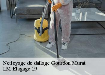Nettoyage de dallage gourdon-murat-19170 LM Elagage 19