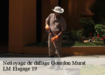 Nettoyage de dallage 19170