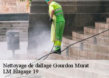 Nettoyage de dallage 19170