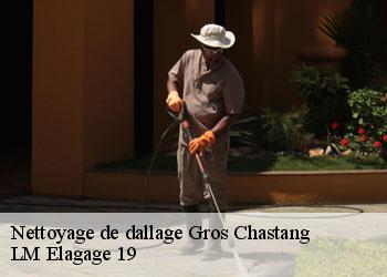 Nettoyage de dallage  19320