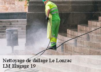 Nettoyage de dallage  19470