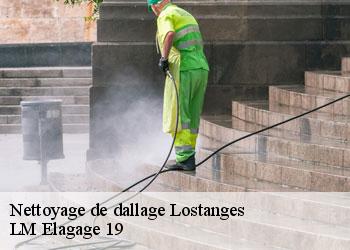 Nettoyage de dallage  19500