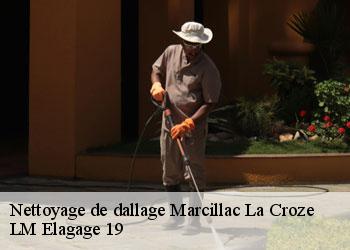 Nettoyage de dallage 19500