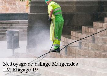 Nettoyage de dallage 19200