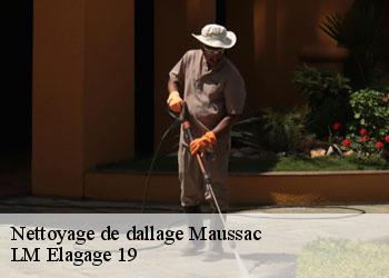 Nettoyage de dallage 19250