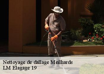 Nettoyage de dallage 19510