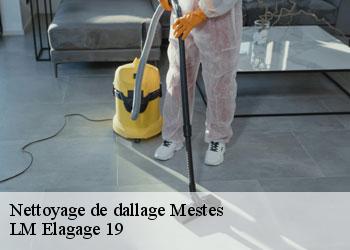Nettoyage de dallage mestes-19200 LM Elagage 19
