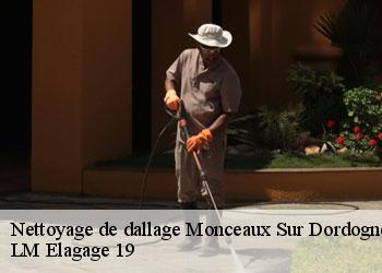 Nettoyage de dallage  19400
