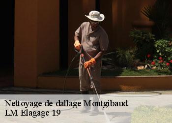 Nettoyage de dallage 19210