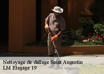 Nettoyage de dallage  19390