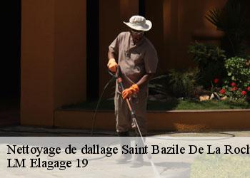 Nettoyage de dallage  19320
