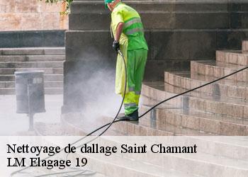 Nettoyage de dallage 19380