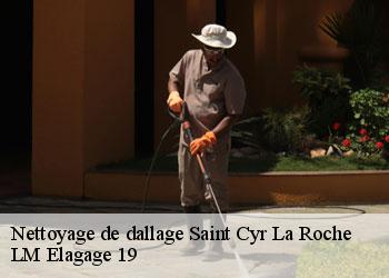 Nettoyage de dallage 19130