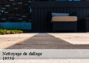 Nettoyage de dallage 19550