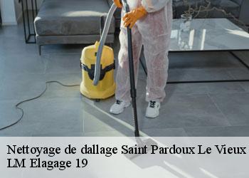 Nettoyage de dallage saint-pardoux-le-vieux-19200 LM Elagage 19