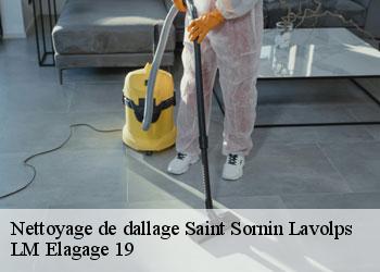 Nettoyage de dallage saint-sornin-lavolps-19230 LM Elagage 19
