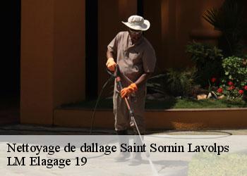 Nettoyage de dallage 19230