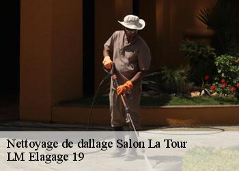 Nettoyage de dallage 19510