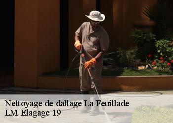 Nettoyage de dallage 19600