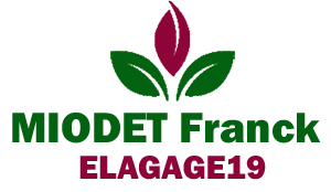 elagage-miodet-franck-elagage19